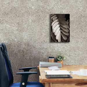 'Tropical Plant I' by Debra Van Swearingen, Canvas Wall Art,12 x 18