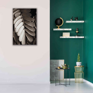 'Tropical Plant I' by Debra Van Swearingen, Canvas Wall Art,26 x 40