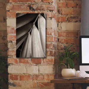 'Tropical Plant II' by Debra Van Swearingen, Canvas Wall Art,12 x 18