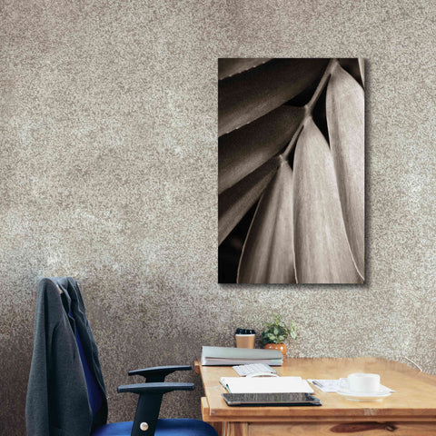 Image of 'Tropical Plant II' by Debra Van Swearingen, Canvas Wall Art,26 x 40
