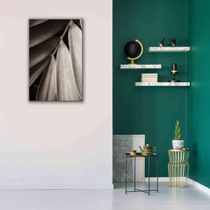 'Tropical Plant II' by Debra Van Swearingen, Canvas Wall Art,26 x 40