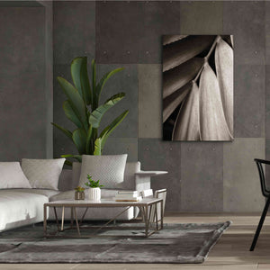 'Tropical Plant II' by Debra Van Swearingen, Canvas Wall Art,40 x 60
