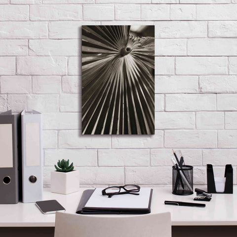 Image of 'Palm Frond 1' by Debra Van Swearingen, Canvas Wall Art,12 x 18