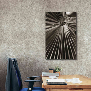 'Palm Frond 1' by Debra Van Swearingen, Canvas Wall Art,26 x 40