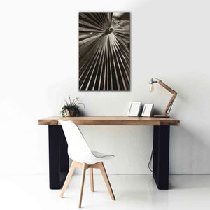 'Palm Frond 1' by Debra Van Swearingen, Canvas Wall Art,26 x 40
