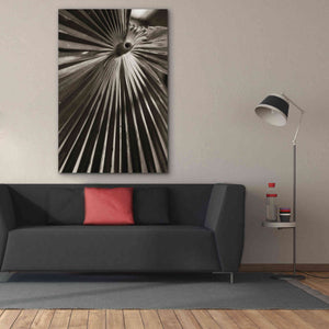 'Palm Frond 1' by Debra Van Swearingen, Canvas Wall Art,40 x 60