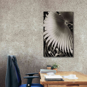 'Palm Frond 2' by Debra Van Swearingen, Canvas Wall Art,26 x 40