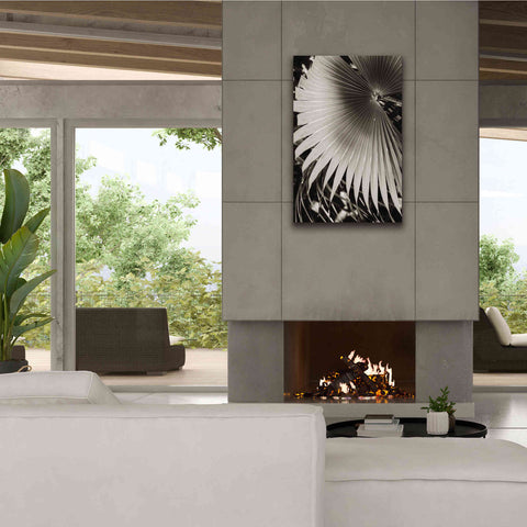 Image of 'Palm Frond 2' by Debra Van Swearingen, Canvas Wall Art,26 x 40
