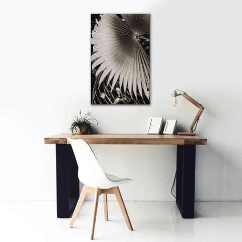 Image of 'Palm Frond 2' by Debra Van Swearingen, Canvas Wall Art,26 x 40