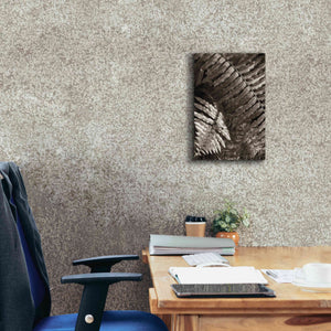 'Fern I' by Debra Van Swearingen, Canvas Wall Art,12 x 18