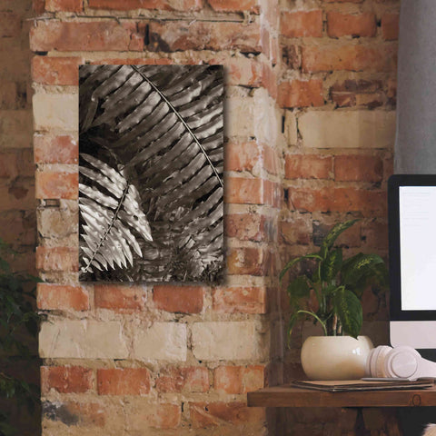 Image of 'Fern I' by Debra Van Swearingen, Canvas Wall Art,12 x 18
