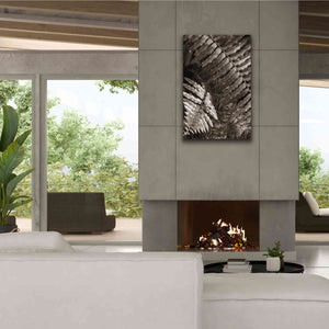 'Fern I' by Debra Van Swearingen, Canvas Wall Art,26 x 40