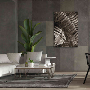 'Fern I' by Debra Van Swearingen, Canvas Wall Art,40 x 60