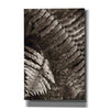 'Fern I' by Debra Van Swearingen, Canvas Wall Art,12x18x1.1x0,18x26x1.1x0,26x40x1.74x0,40x60x1.74x0