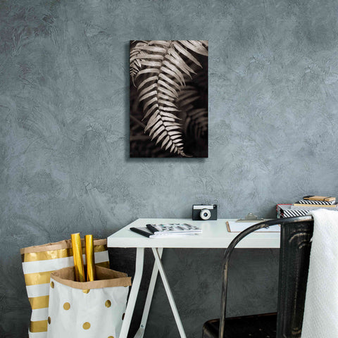 Image of 'Fern II' by Debra Van Swearingen, Canvas Wall Art,12 x 18