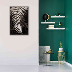 'Fern II' by Debra Van Swearingen, Canvas Wall Art,26 x 40