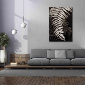 'Fern II' by Debra Van Swearingen, Canvas Wall Art,40 x 60