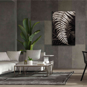 'Fern II' by Debra Van Swearingen, Canvas Wall Art,40 x 60