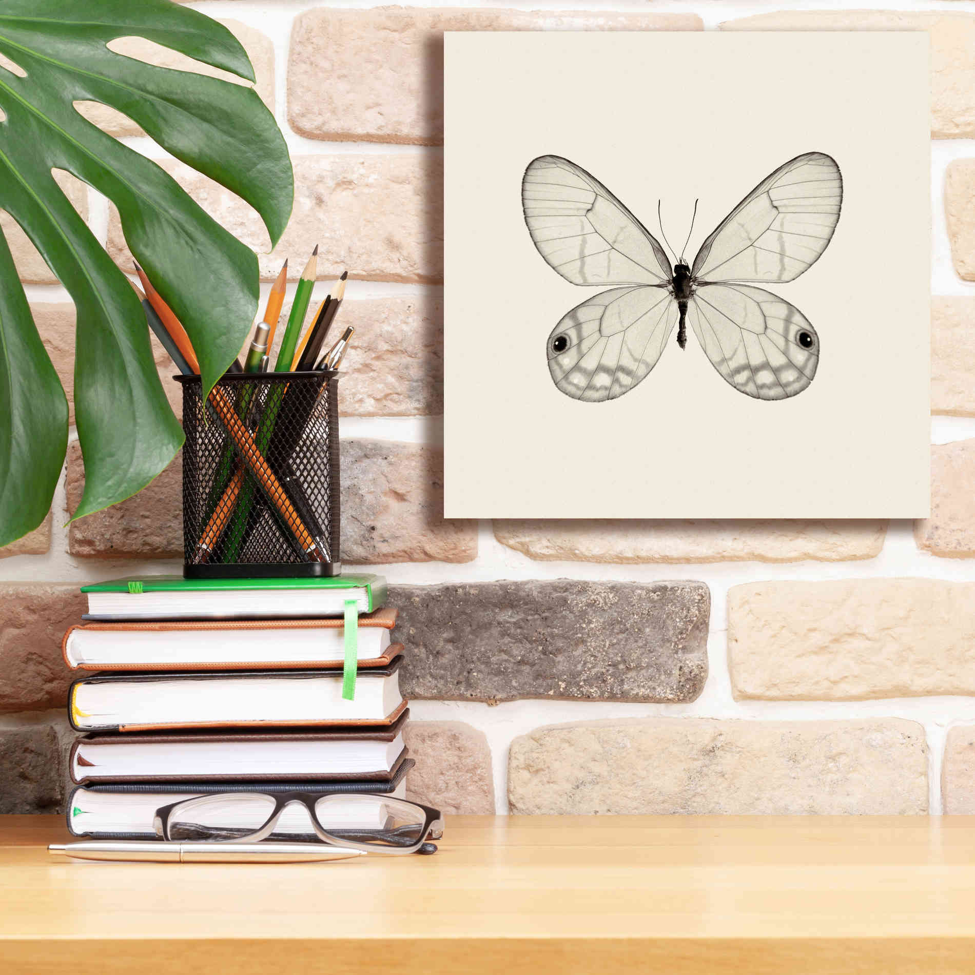 'Butterfly I B&W' by Debra Van Swearingen, Canvas Wall Art,12 x 12
