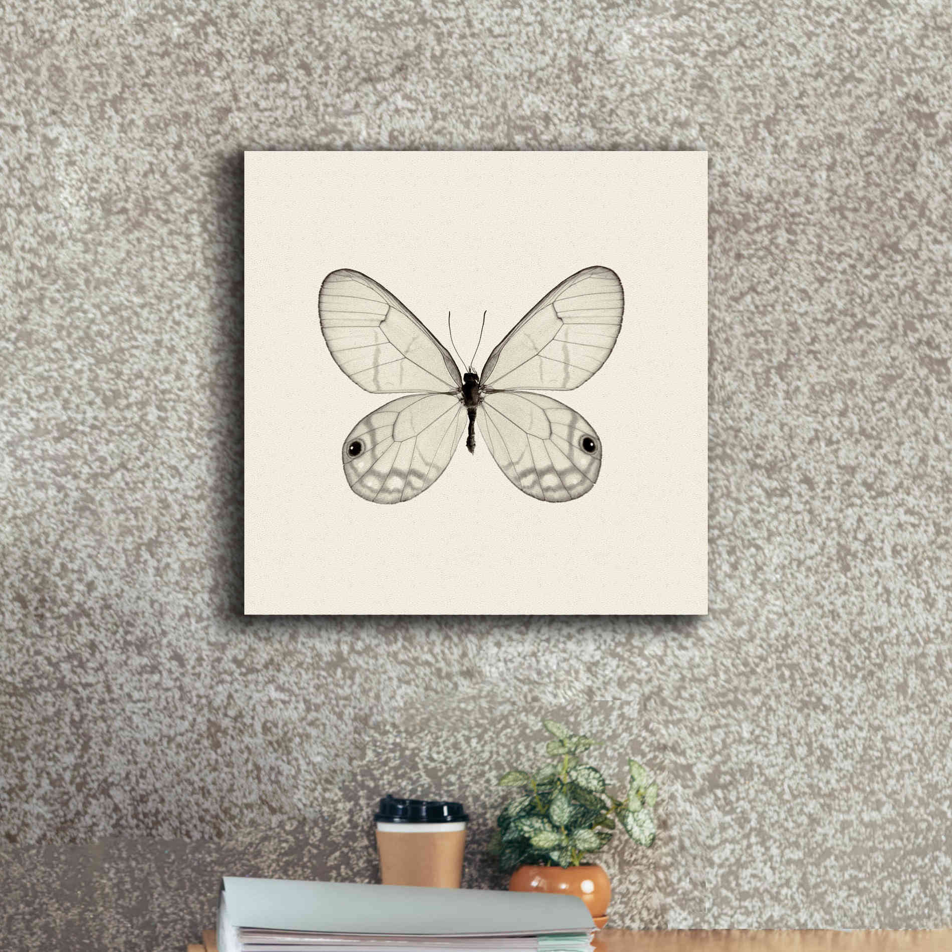 'Butterfly I B&W' by Debra Van Swearingen, Canvas Wall Art,18 x 18