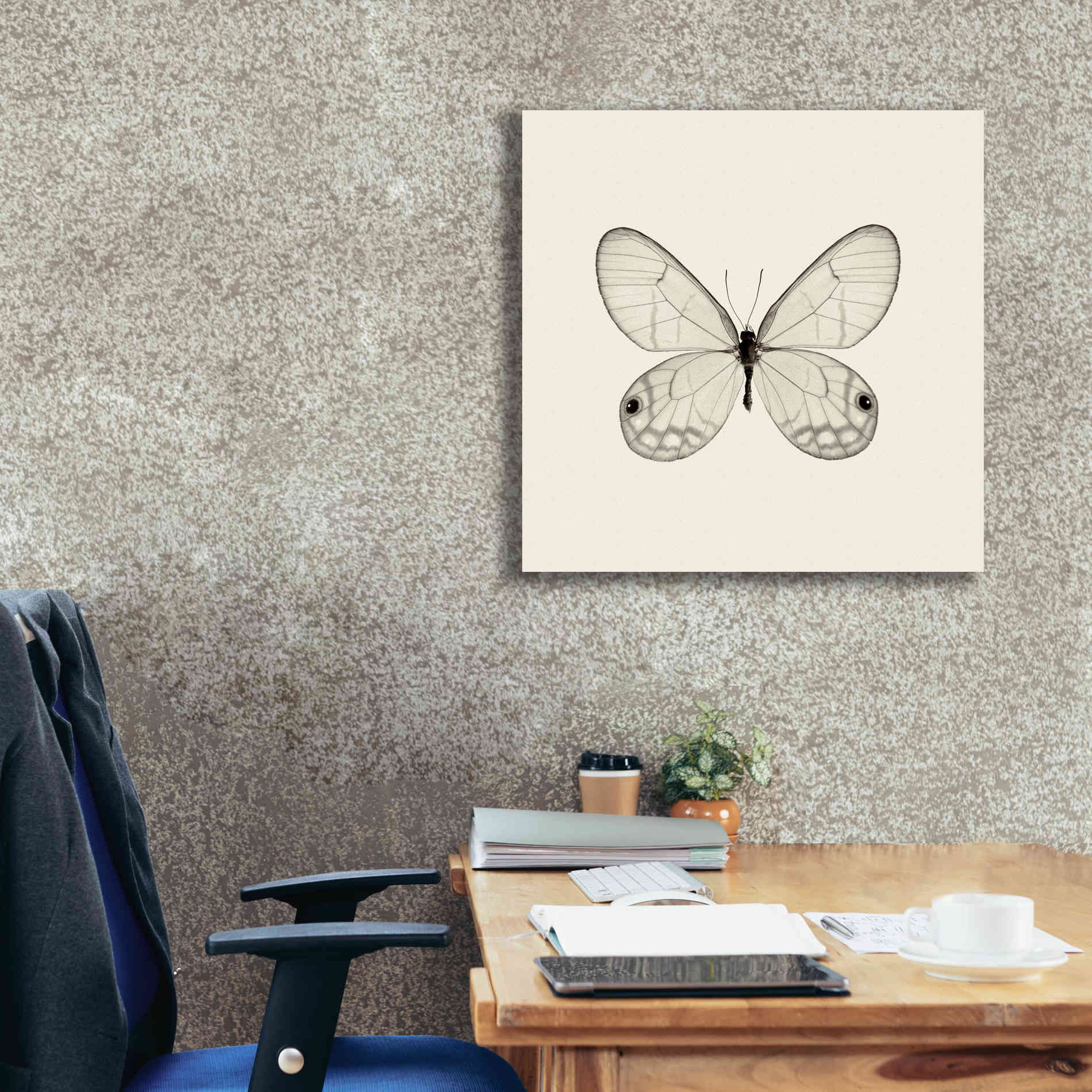 'Butterfly I B&W' by Debra Van Swearingen, Canvas Wall Art,26 x 26