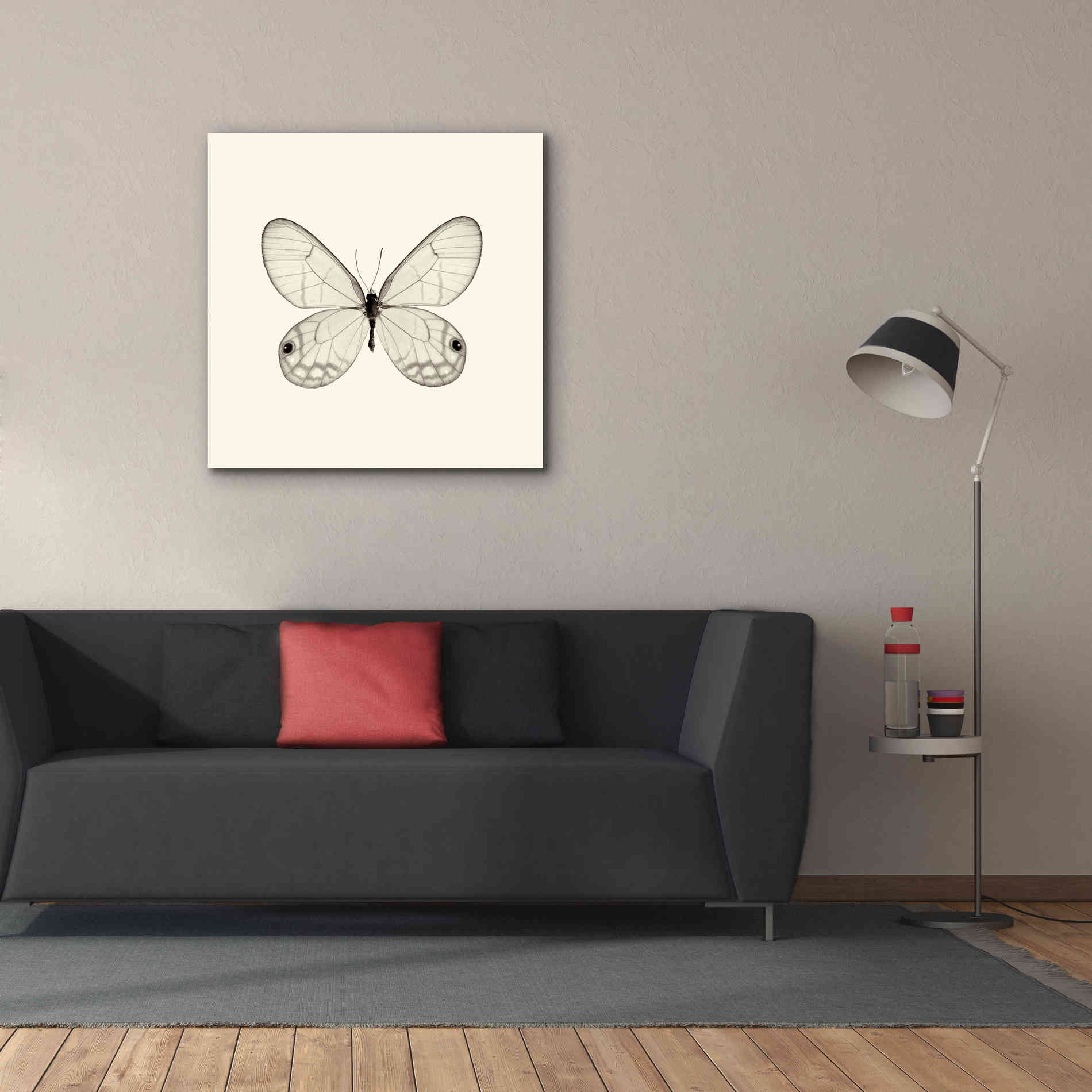 'Butterfly I B&W' by Debra Van Swearingen, Canvas Wall Art,37 x 37