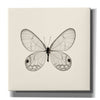 'Butterfly I B&W' by Debra Van Swearingen, Canvas Wall Art,12x12x1.1x0,18x18x1.1x0,26x26x1.74x0,37x37x1.74x0
