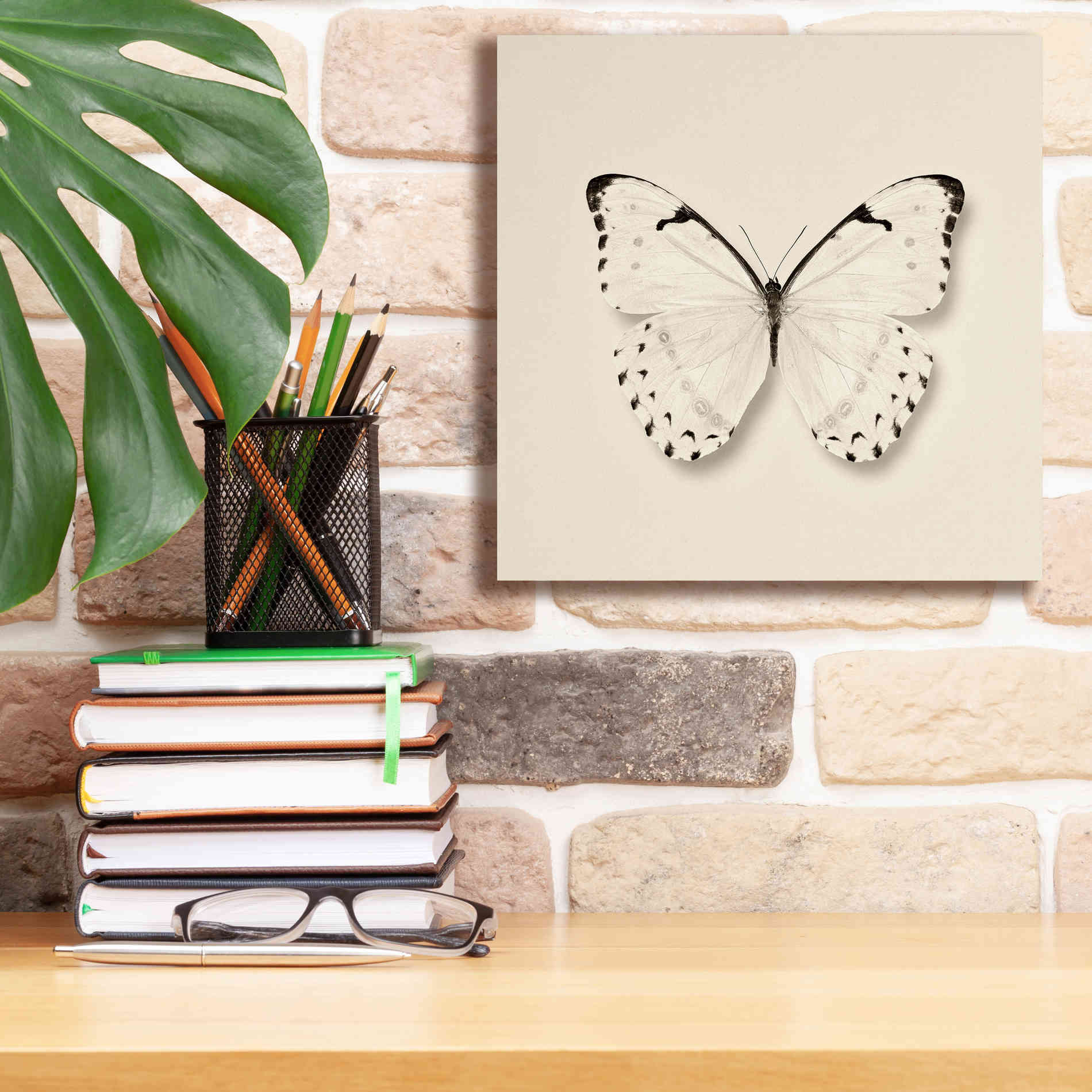 'Butterfly II B&W' by Debra Van Swearingen, Canvas Wall Art,12 x 12