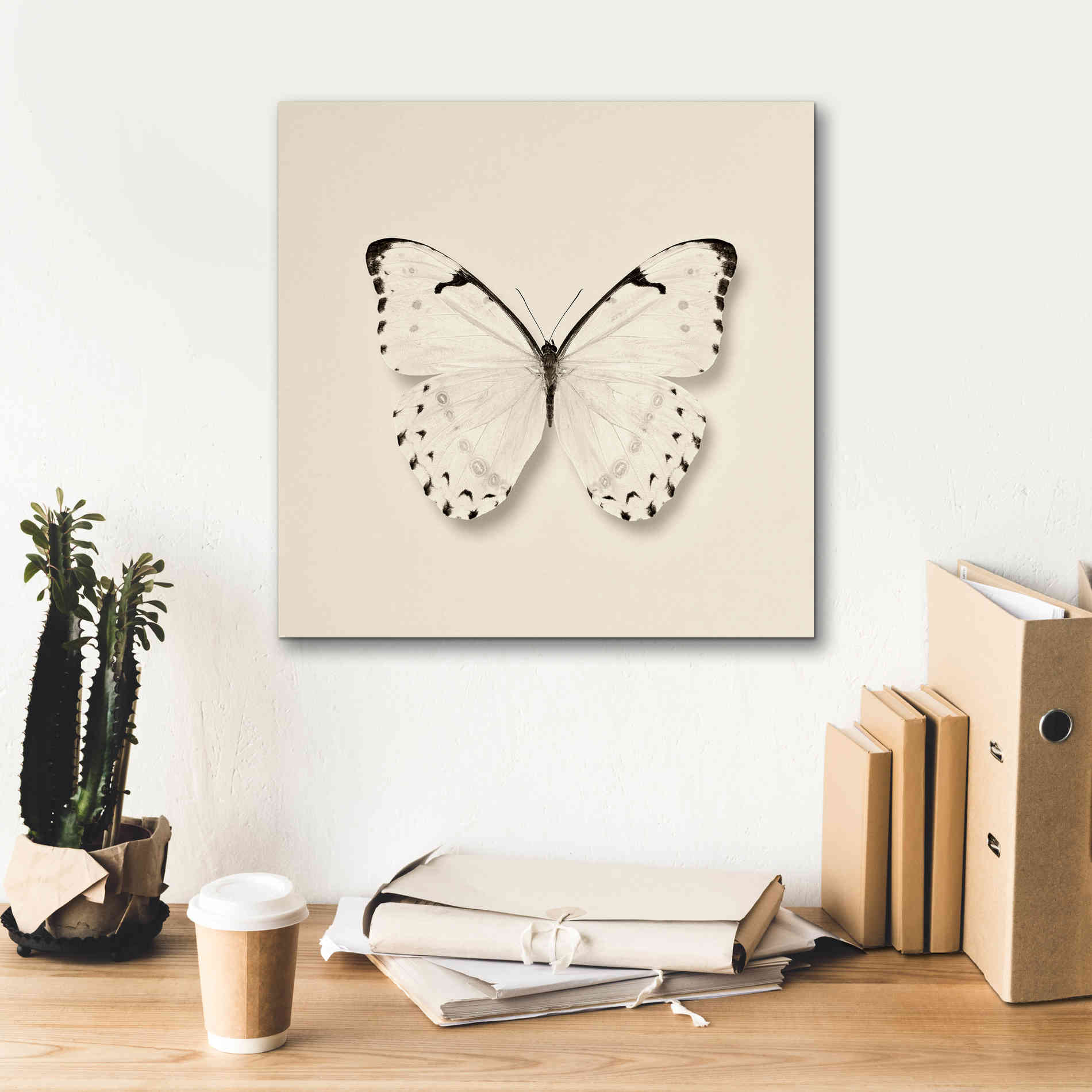 'Butterfly II B&W' by Debra Van Swearingen, Canvas Wall Art,18 x 18