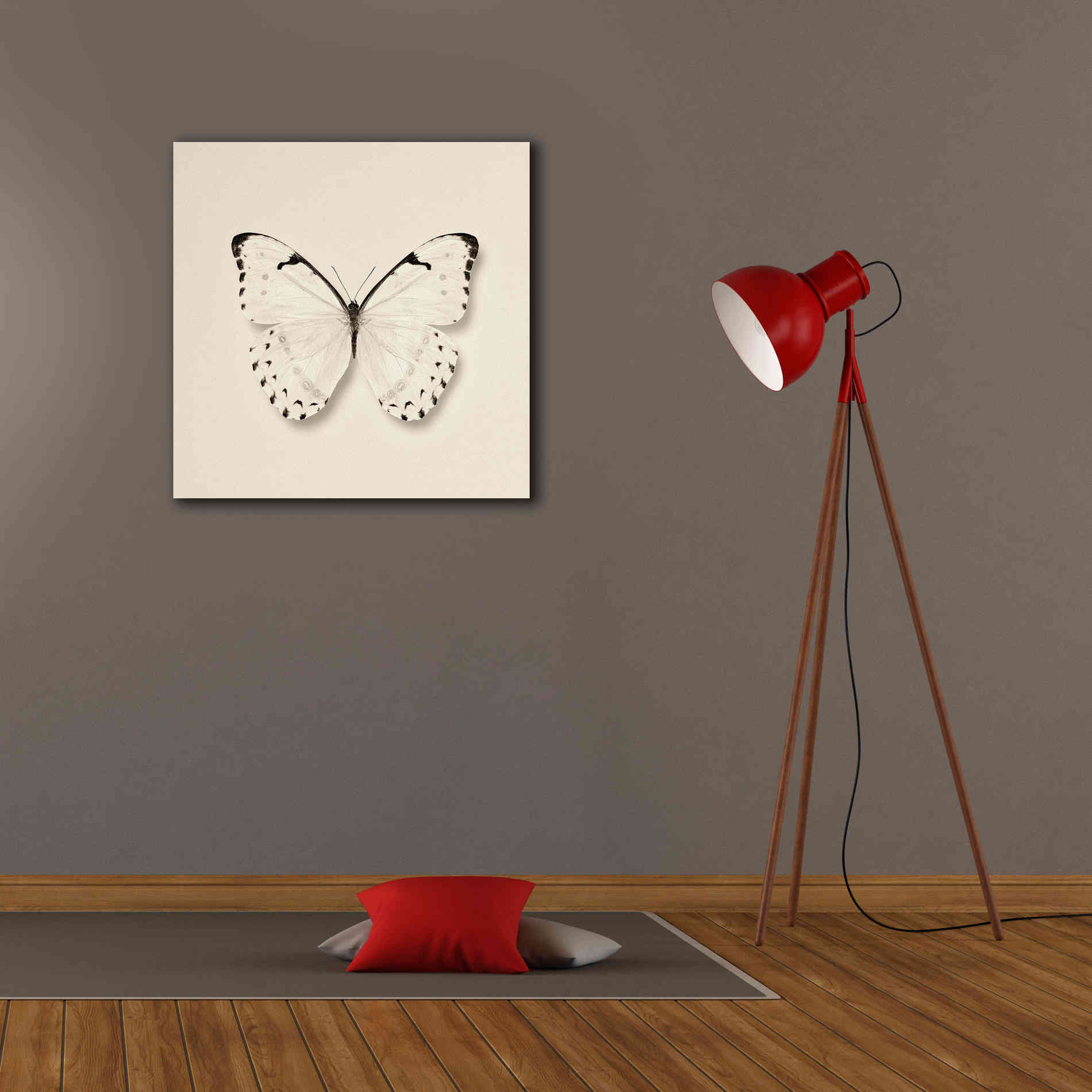 'Butterfly II B&W' by Debra Van Swearingen, Canvas Wall Art,26 x 26
