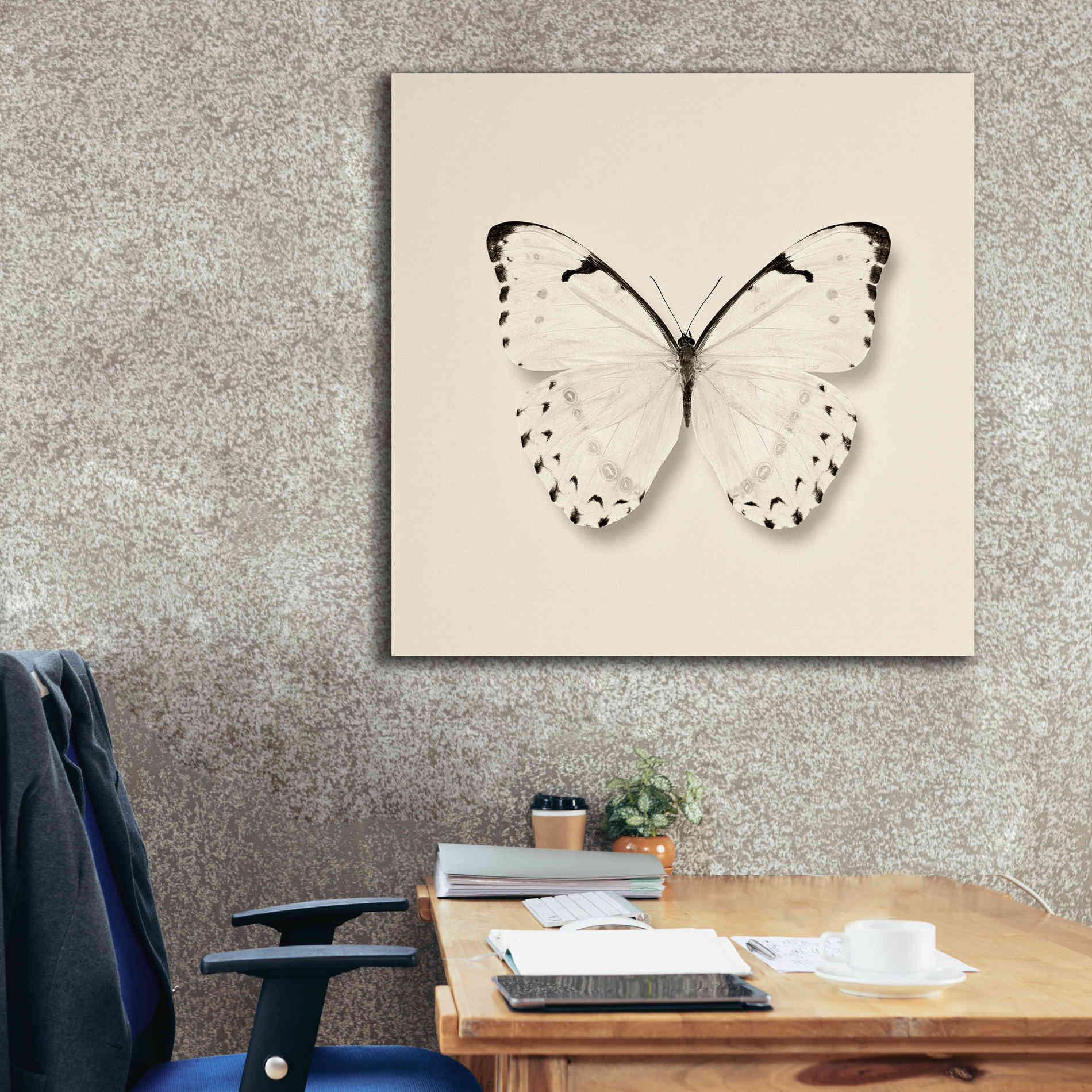 'Butterfly II B&W' by Debra Van Swearingen, Canvas Wall Art,37 x 37
