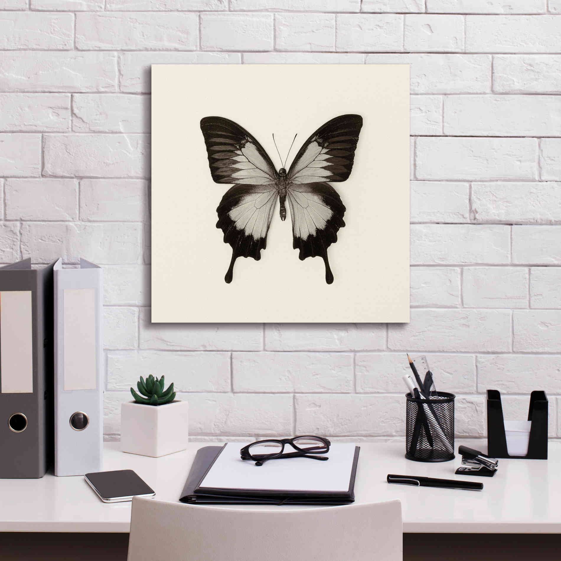 'Butterfly III B&W' by Debra Van Swearingen, Canvas Wall Art,18 x 18
