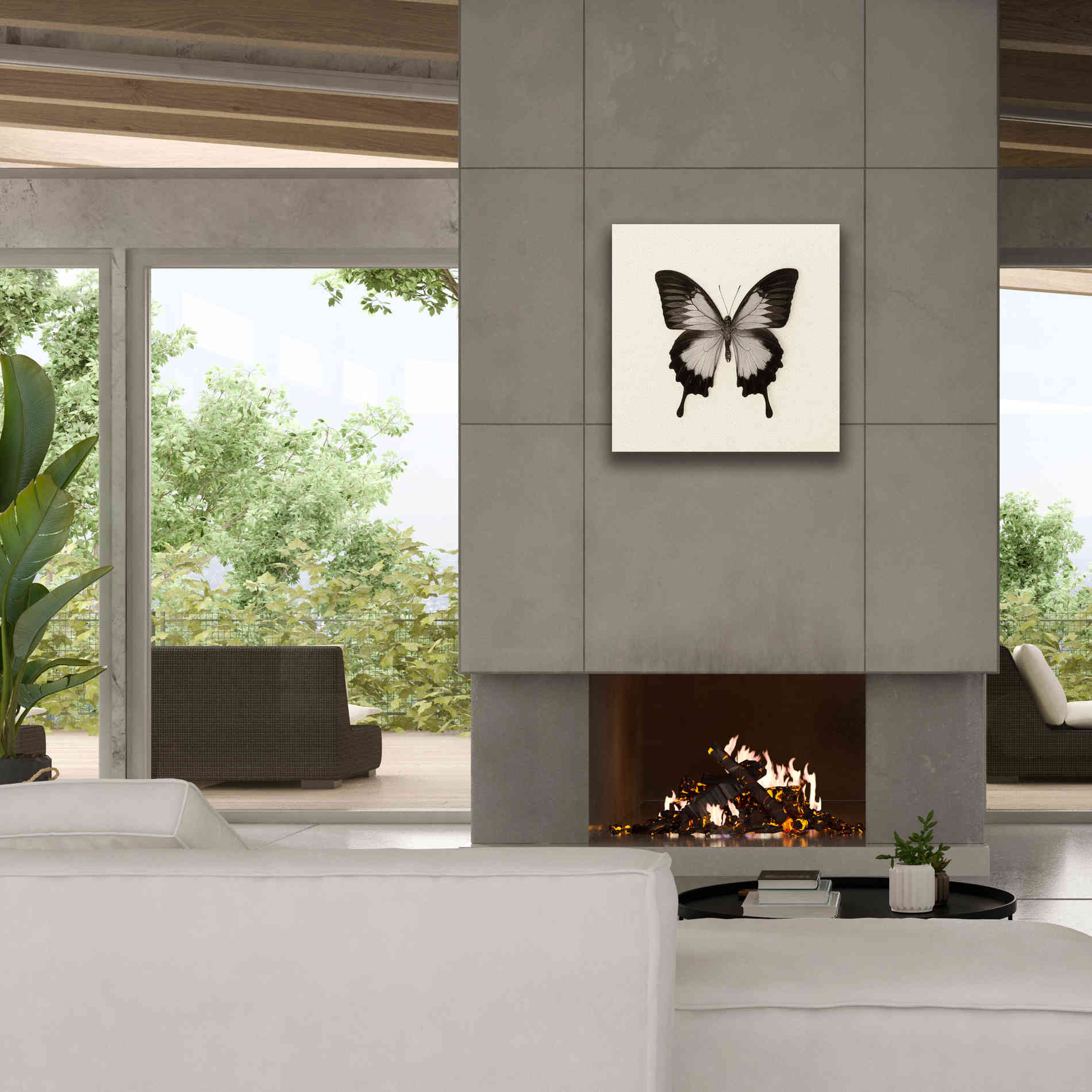 'Butterfly III B&W' by Debra Van Swearingen, Canvas Wall Art,26 x 26