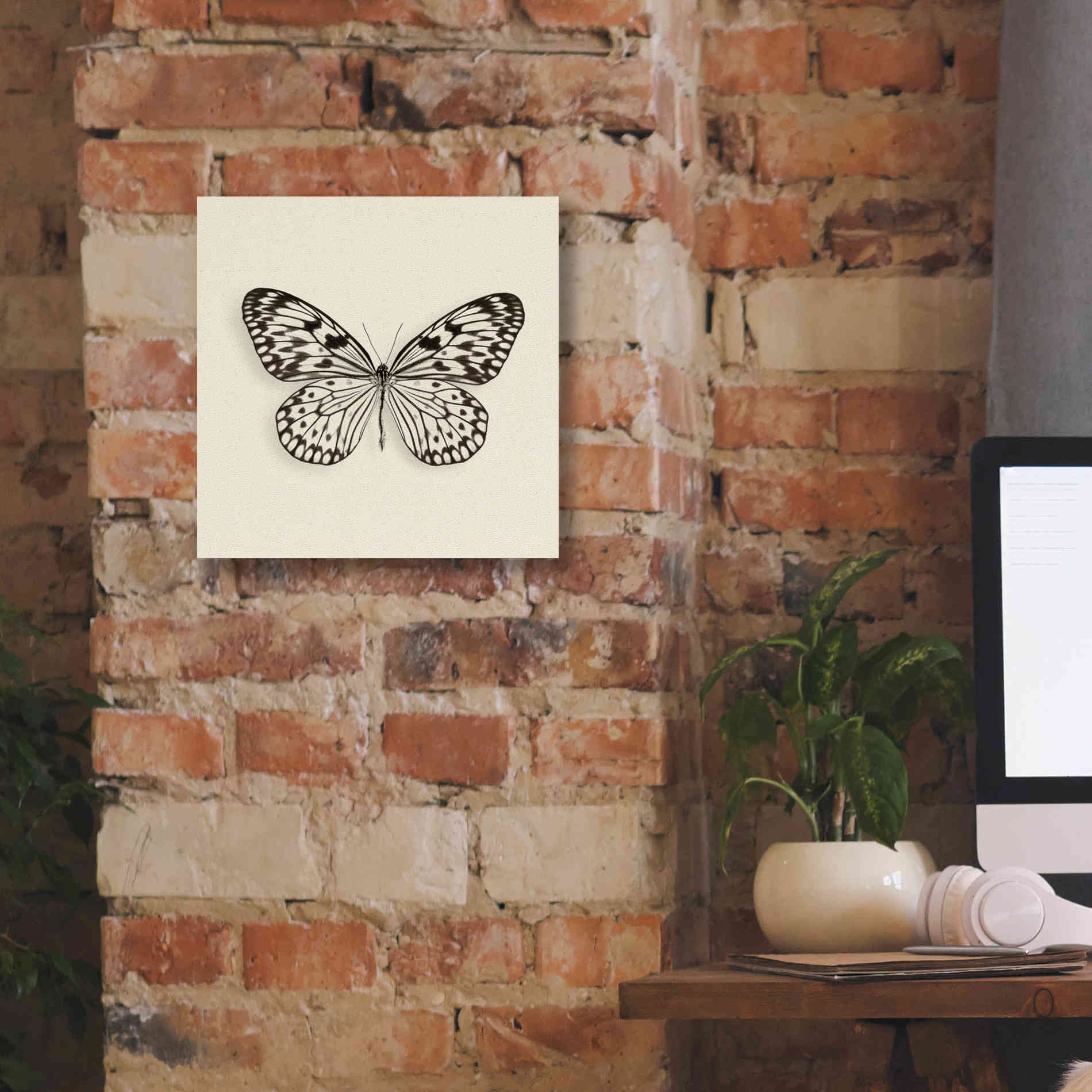 'Butterfly V B&W' by Debra Van Swearingen, Canvas Wall Art,12 x 12