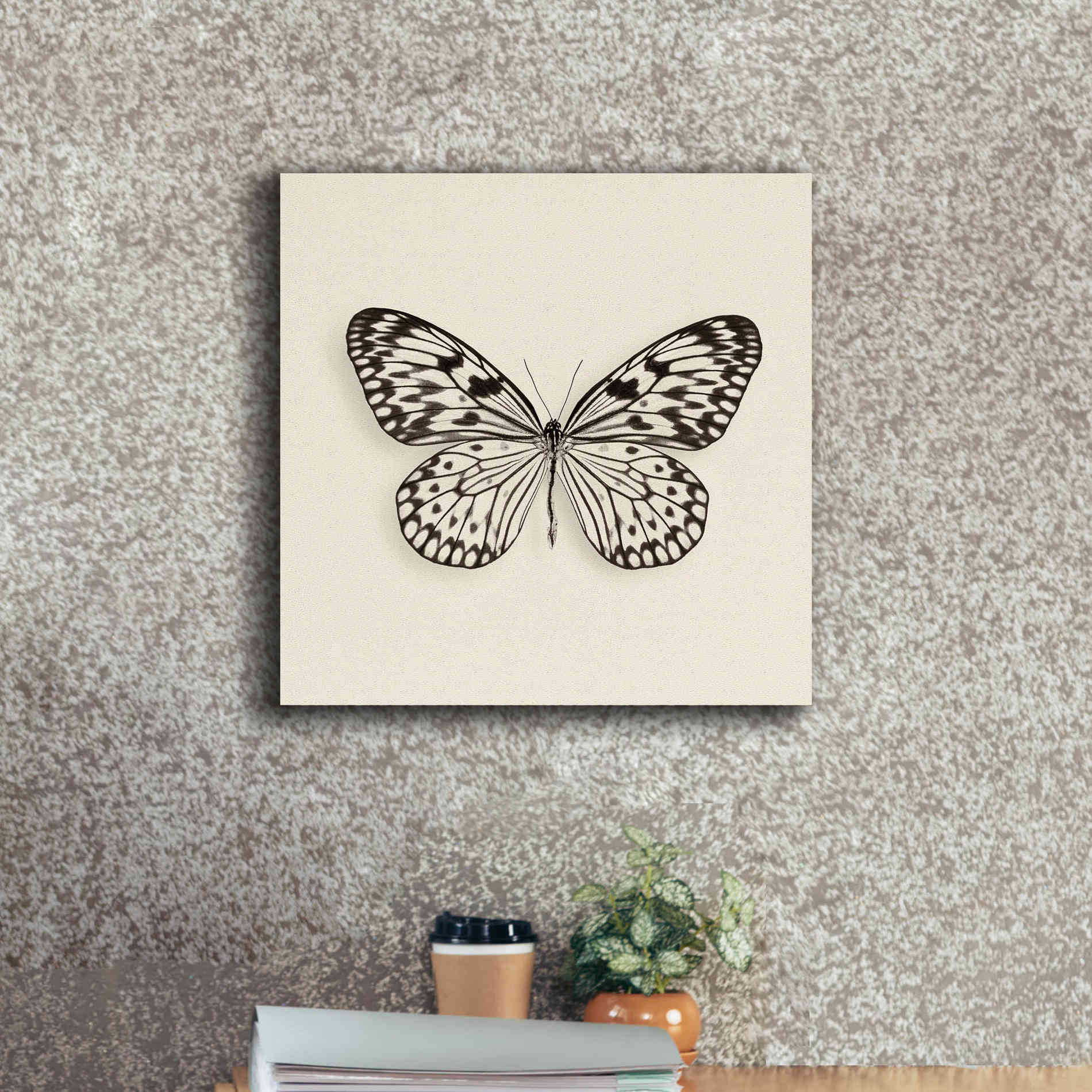 'Butterfly V B&W' by Debra Van Swearingen, Canvas Wall Art,18 x 18