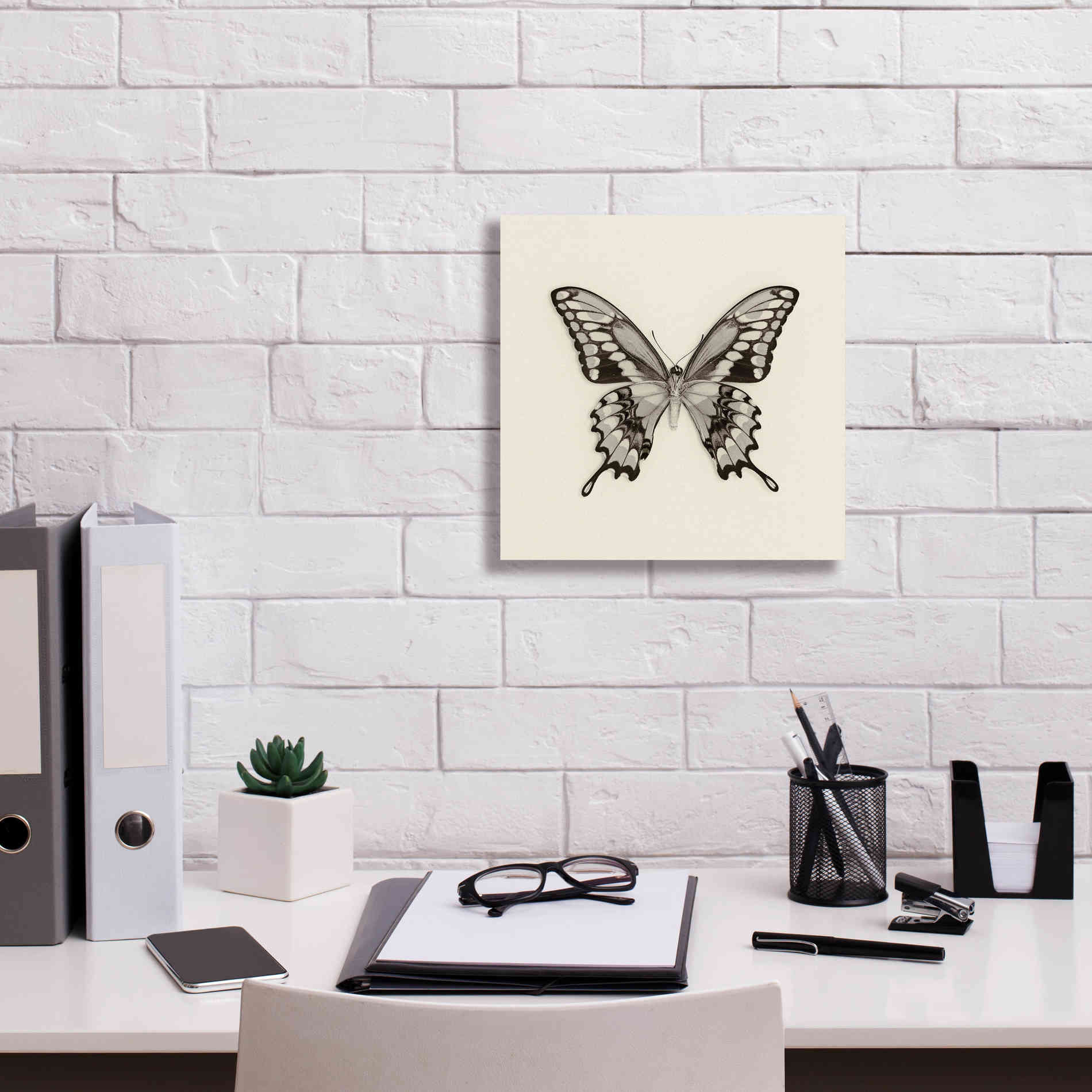 'Butterfly VI B&W' by Debra Van Swearingen, Canvas Wall Art,12 x 12