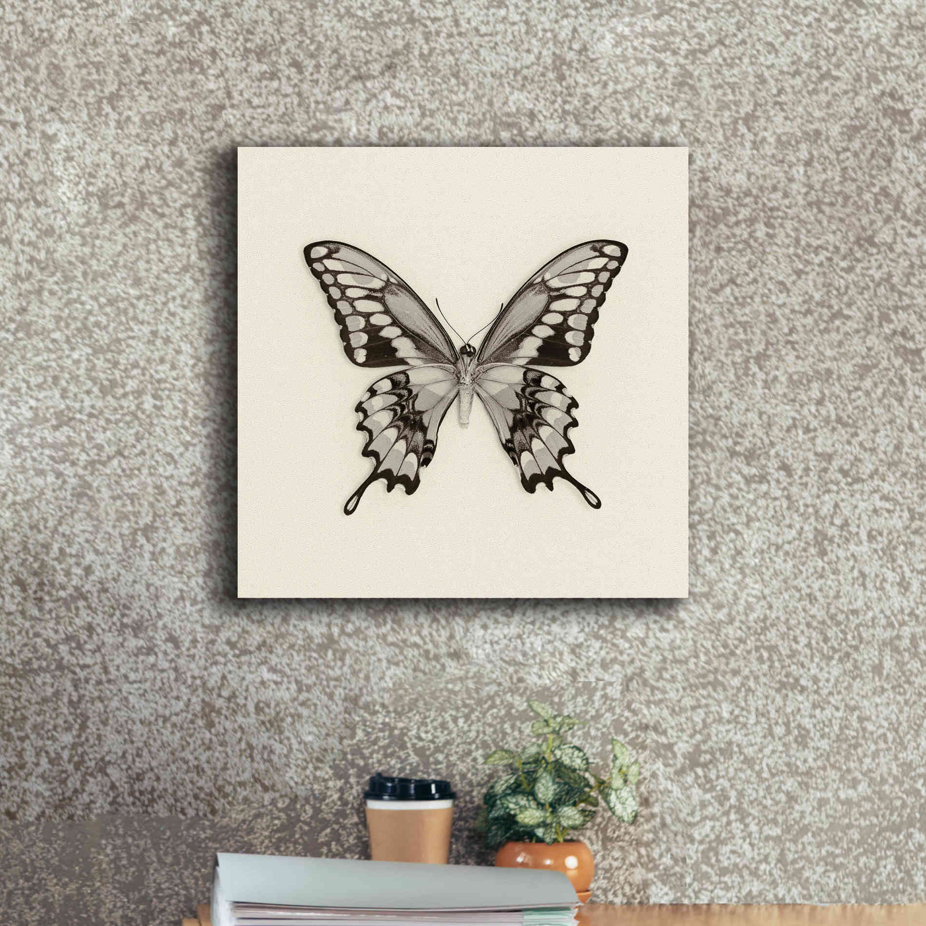 'Butterfly VI B&W' by Debra Van Swearingen, Canvas Wall Art,18 x 18