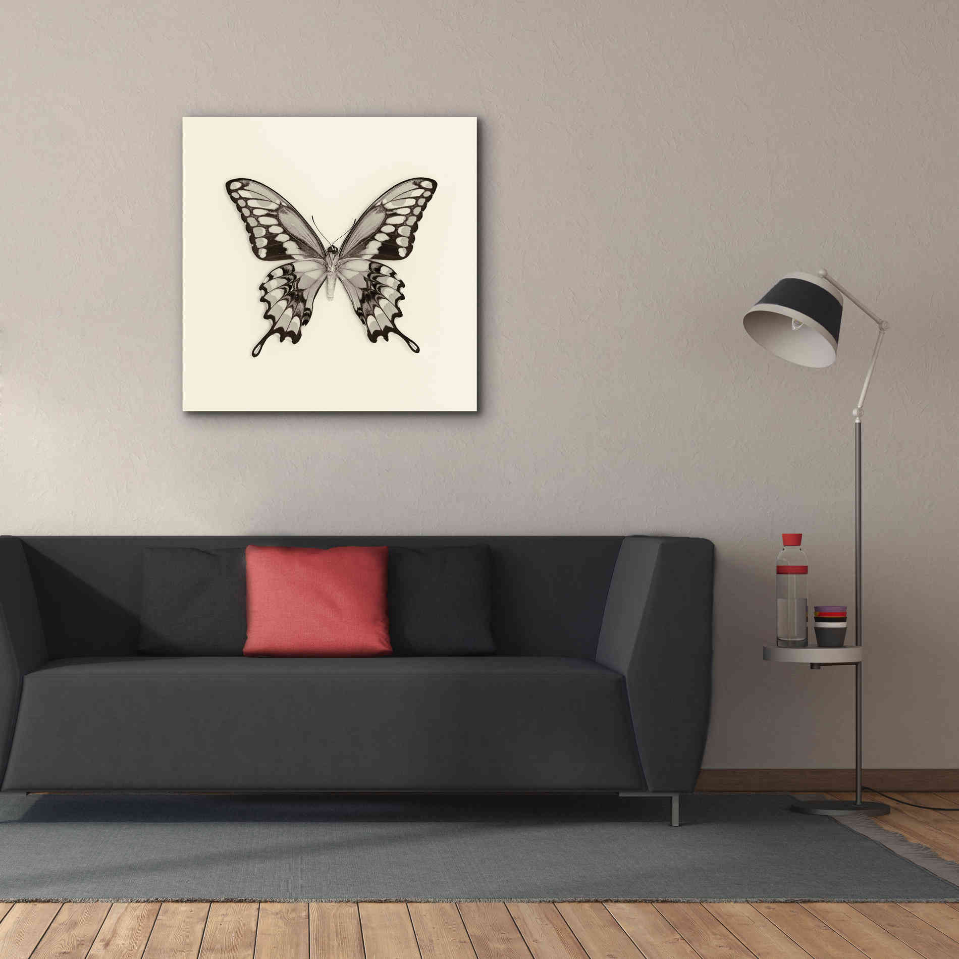 'Butterfly VI B&W' by Debra Van Swearingen, Canvas Wall Art,37 x 37