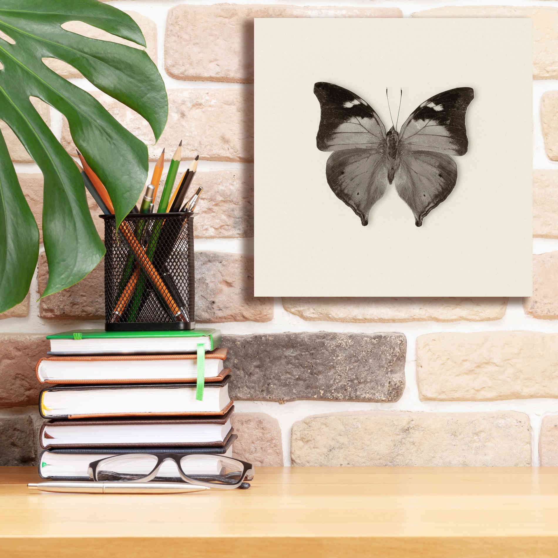 'Butterfly VII B&W' by Debra Van Swearingen, Canvas Wall Art,12 x 12