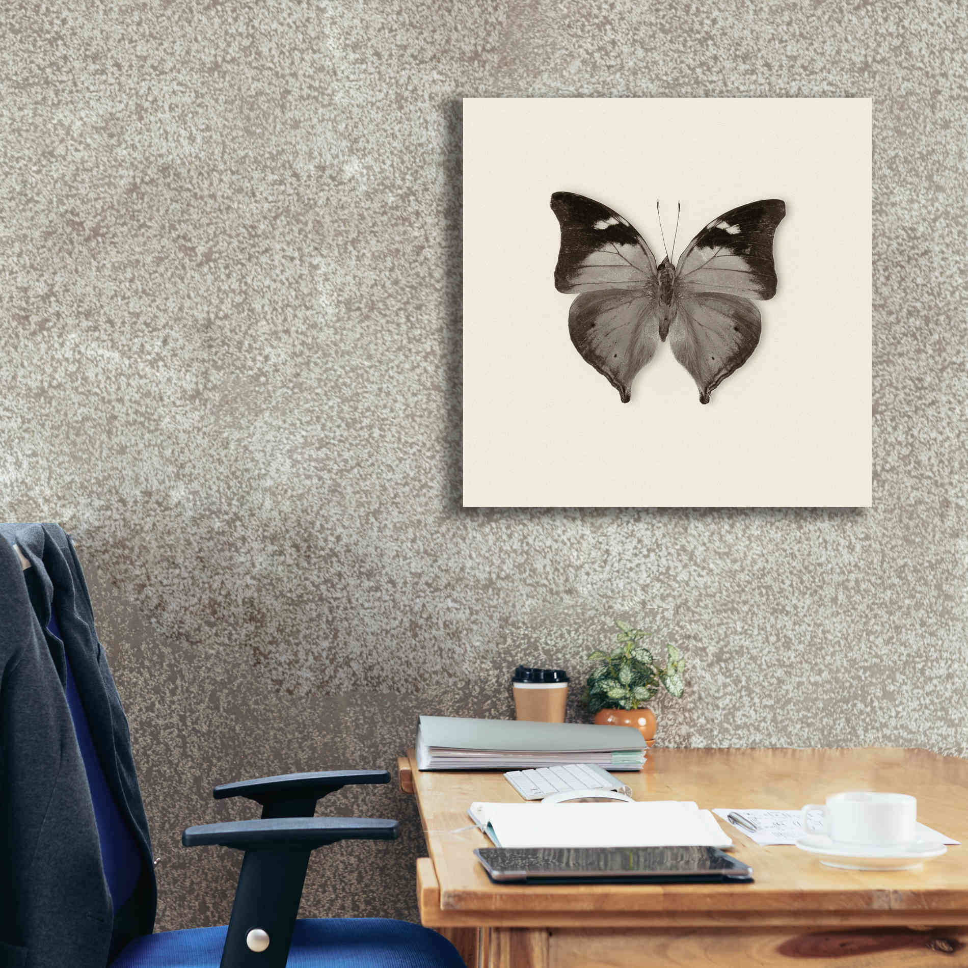 'Butterfly VII B&W' by Debra Van Swearingen, Canvas Wall Art,26 x 26