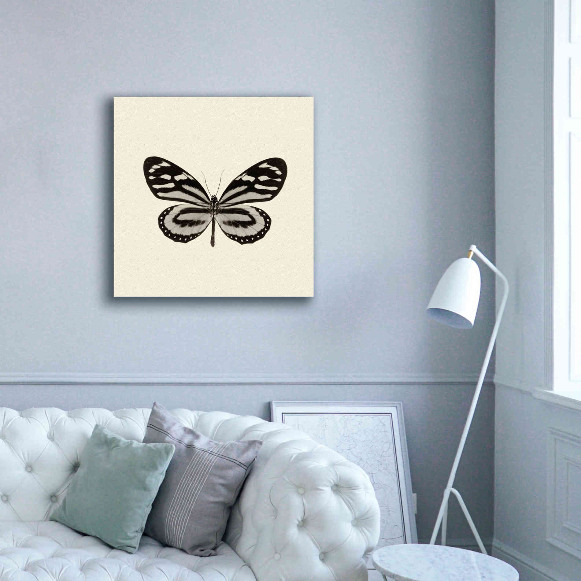 'Butterfly VIII B&W' by Debra Van Swearingen, Canvas Wall Art,37 x 37