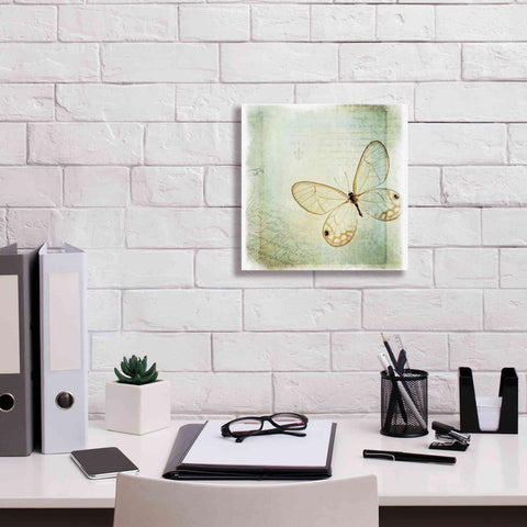 Image of 'Floating Butterfly I' by Debra Van Swearingen, Canvas Wall Art,12 x 12