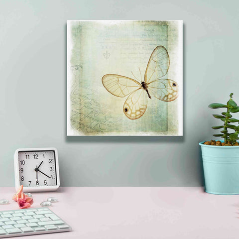 Image of 'Floating Butterfly I' by Debra Van Swearingen, Canvas Wall Art,12 x 12