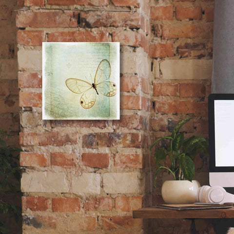 Image of 'Floating Butterfly I' by Debra Van Swearingen, Canvas Wall Art,12 x 12