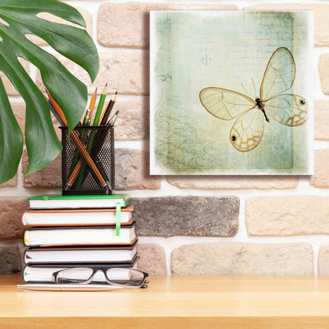 Image of 'Floating Butterfly I' by Debra Van Swearingen, Canvas Wall Art,12 x 12