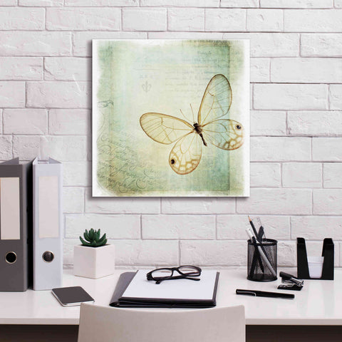 Image of 'Floating Butterfly I' by Debra Van Swearingen, Canvas Wall Art,18 x 18