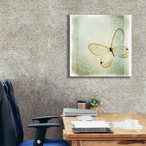 Image of 'Floating Butterfly I' by Debra Van Swearingen, Canvas Wall Art,26 x 26