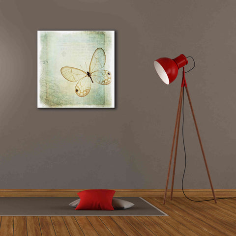 Image of 'Floating Butterfly I' by Debra Van Swearingen, Canvas Wall Art,26 x 26