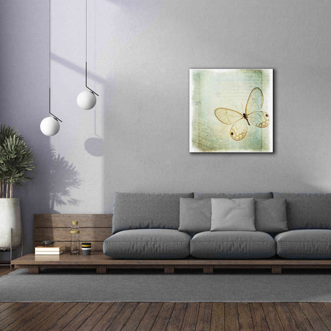 Image of 'Floating Butterfly I' by Debra Van Swearingen, Canvas Wall Art,37 x 37