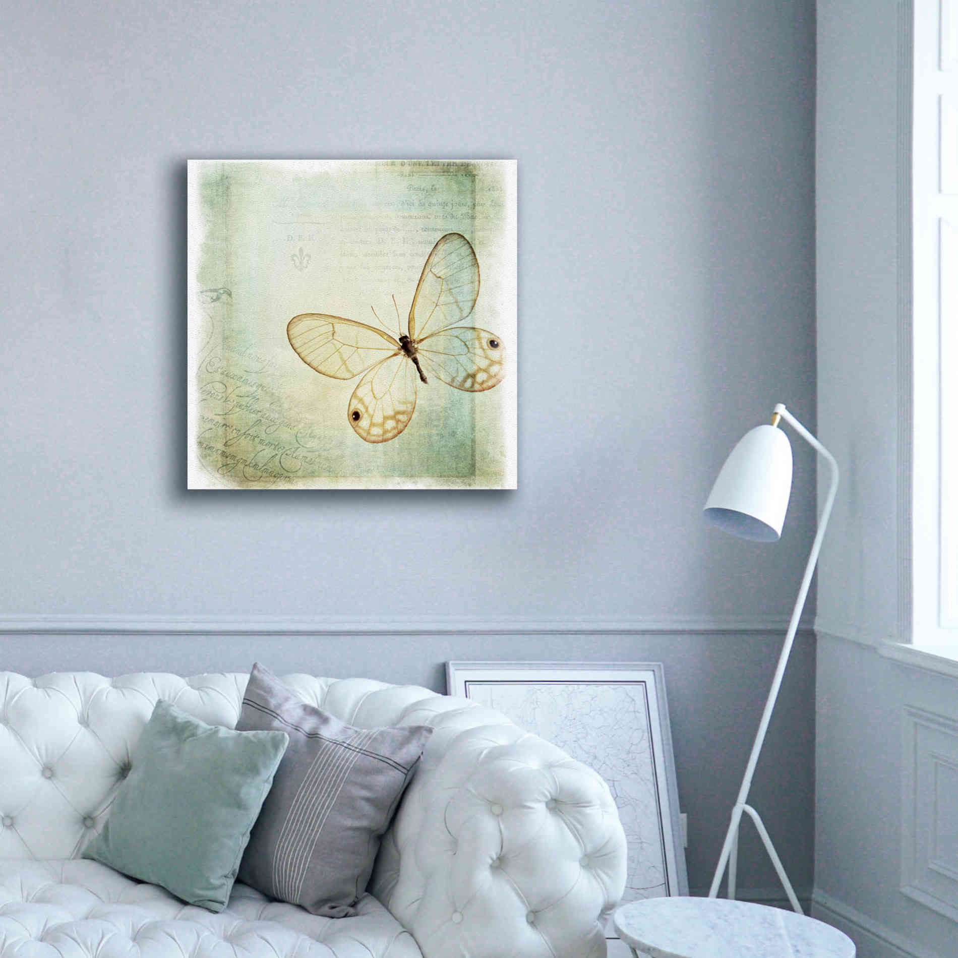 'Floating Butterfly I' by Debra Van Swearingen, Canvas Wall Art,37 x 37